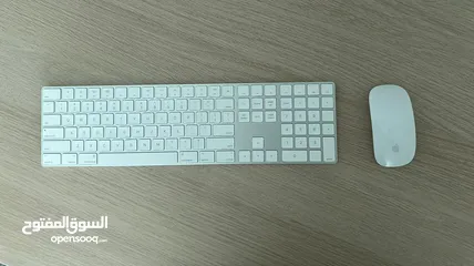  1 keyboard apple