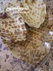  28 أدوات مطبخ