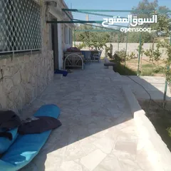  20 منزل للبيع قصر حلابات غربي قرب مصانع طيبه