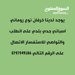  1 لحام جزار لذبح وبيع   عقائق نذور فدو ولجميع المناسبات الاجتماعية  في البيت عندك أو في الملحمة عندي