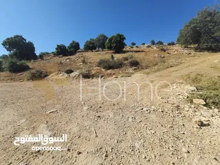  6 ارض للبيع في الفحيص حوض ابو ركبه بمساحة 1709م