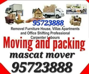  1 Muscat Mover carpenter house shiffting TV curtains furniture fixing