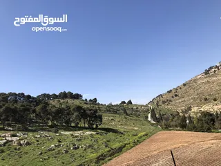  6 ارض لبيع دنمين وميتين وسبعه وسبعين متر بي جانب اسكان الداودي يمكن شراء جزء من الارض او فرزها