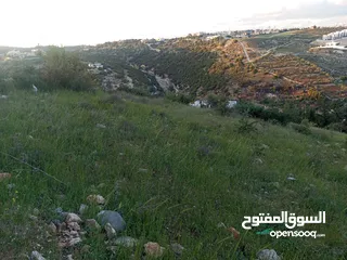  1 اراضي للبيع  بجميع المساحات ذو اطلاله غربيه منطقة فلل في منطقة بدر الجديده