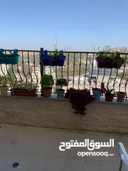  14 شقة مفروشة بمنطقة مميزة في حي الطيرة