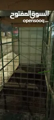  6 قفص عصافير