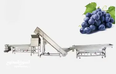  10 خط تنظيف وتنشيف وعصر العنب