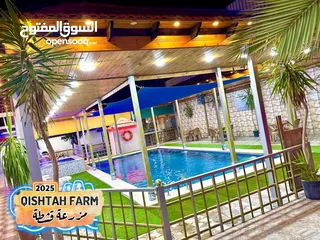  13 مزرعة قشطة للايجار في بلعما - مزرعة 5 STAR - مزرعة VIP - مزرعة للايجار - مزارع للايجار