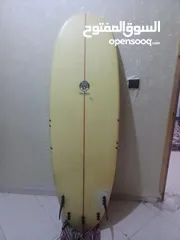  2 mini longboard