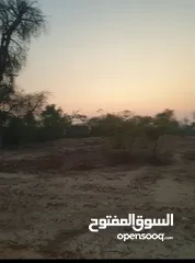  18 مزرعة للبيع بموقع مميز قريب للخدمات والسعر مناسب