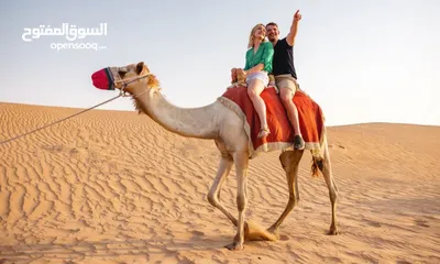  7 Desert safari Tours