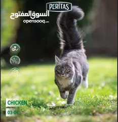  6 طعام القطط rico التركي الاكثر مبيعا بحجمين ال2 ك وال15 ك