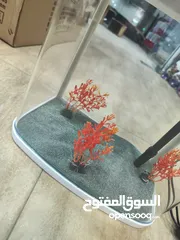  11 حوض سمك مستورد كيرف انارة لد و فلتر داخلي الطول 33سم العمق 20 سم ارتفاع 36 سم