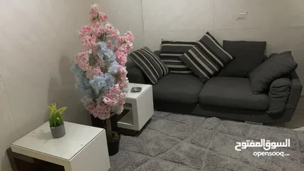 3 استديو مفروشه ايجار يومي الدوار السابع (خدمتكم 24ساعة)