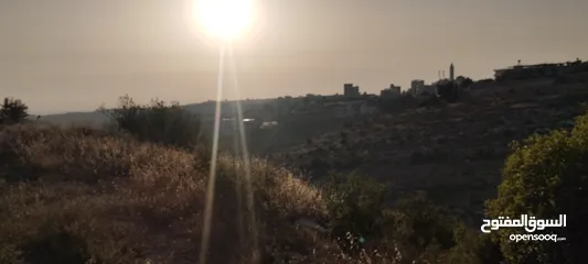  5 عقارات النسر الذهبي ابو قصي