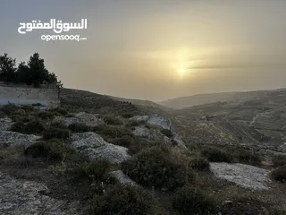  3 ارض للبيع قرمية حسبان 3100 متر لكامل القطعة قابل للأقساط