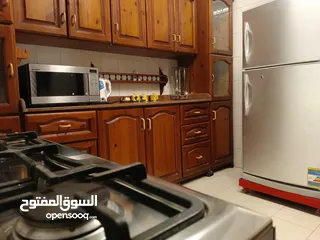  15 شقه فندقيه مفروشه بشارع عباس العقاد مدينه نصر اول سكن