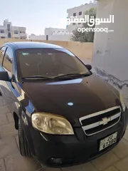  3 شفر افيو للبيع
