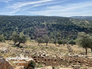  7 ارض للبيع في عجلون