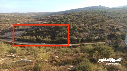  11 ارض على طريق بلعا دير الغصون قبل مفرق اكتابا