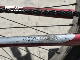  8 دراجه هوائية نوع Mangoos حجم 26 لأشخاص 175سم فما فوق