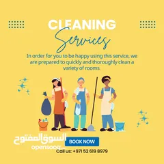  1 Hourly Cleaning Service  Professional Maids