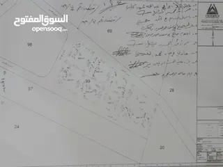  1 قطعتين أرض للبيع في جريبا  حوض أم حية مساحة ( 500 متر )  وحوض فرع الرتم مساحة ( دونم و150 متر )