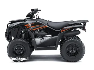  6 Kawasaki BRUTE FORCE 300