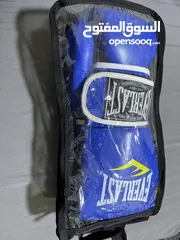  2 Everlast boxing gloves