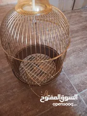  1 قفص للبدل ب طير الروز او فشر