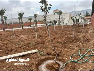  2 مزرعة للبيع