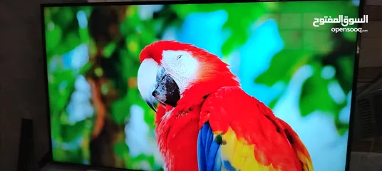  4 شاشه اي فيو 65 سمارت