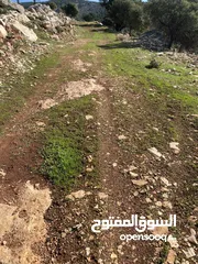  8 ارض للبيع في عجلون