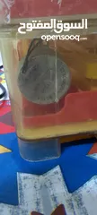  9 فقاسه للبيع