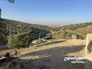  1 ارض مميزة واستثمارية بيرين صروت 3 دنم ونصف للبيع