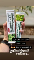  25 ميكأب مجرب وماركات مرتبة