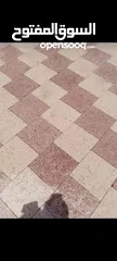  22 مصنع محمد الناشف