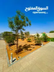  15 مزرعة للإيجار رأس الخيمة