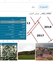  1 ارض في عين البستان عجلون للبيع