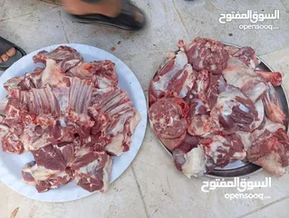  5 لحام ذبح الأظاحي في المنازل الزرقاء  ابو قصي