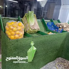  2 19خانة مخضر للبيع