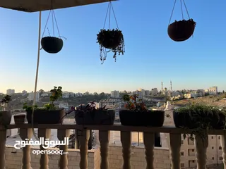  8 شقه مفروشة بالكامل للايجار