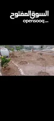  4 قطعة أرض مرتبة معمرة وجاهزة