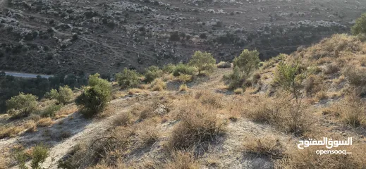  7 ارض زراعيه للبيع بني كنانه