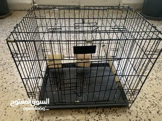  2 قفص ببغاء أو قطه