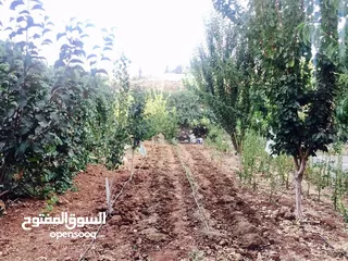  4 فيلا للبيع في صافوط طابقين وطابق تسوية الأرض 750m / مسطح البناء 600m / بناء حديث 4وجهات حجر
