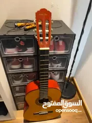  2 Lucky Star Acoustic Guitar