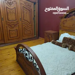  2 شقة مفروشة للايجار في العريش فيصل