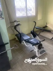  13 نادي بناء أجسام ولياقة بدنية للبيع