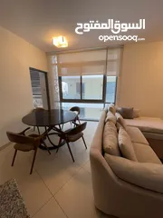  2 fully furnished apartment for rent